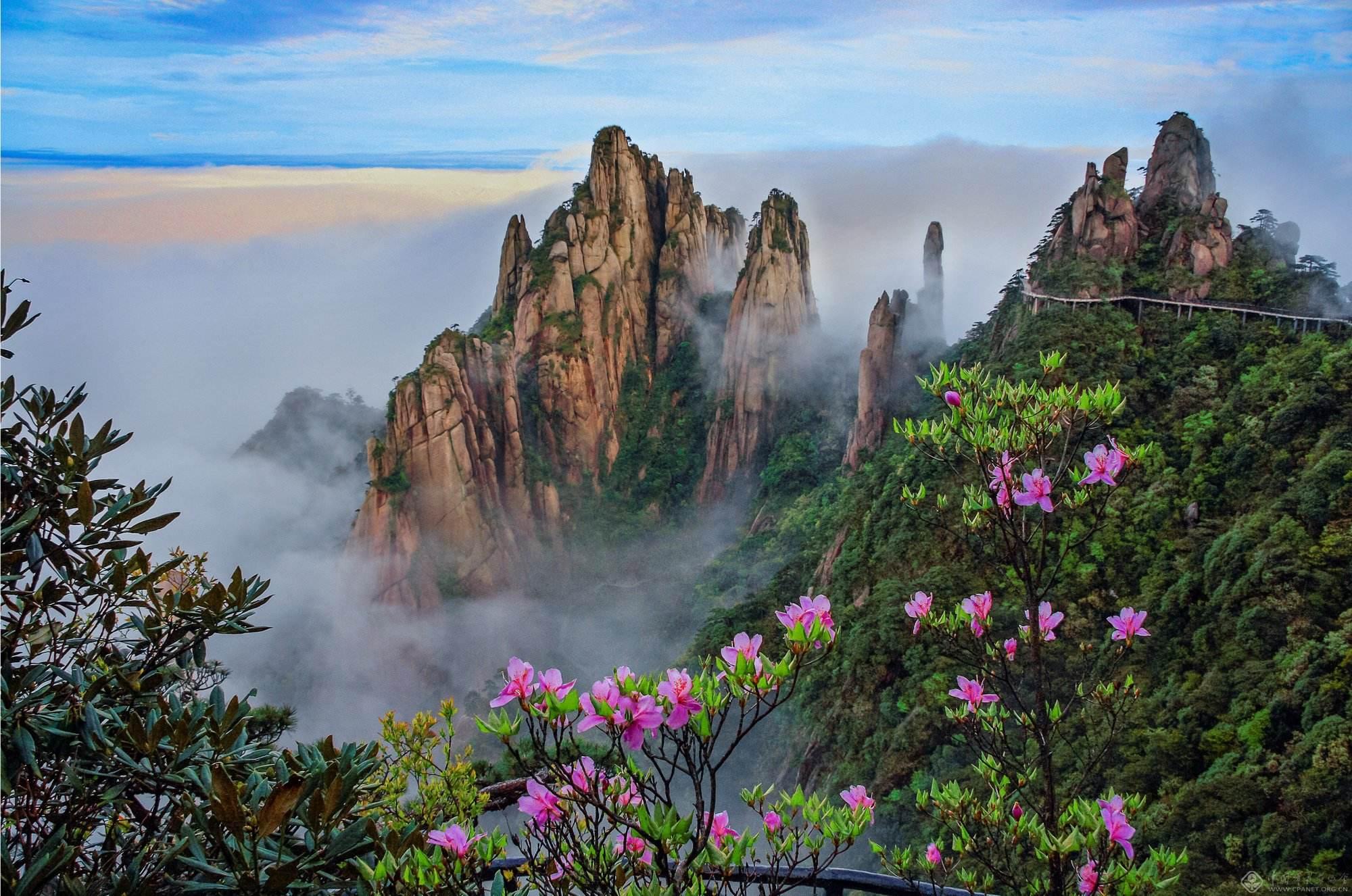 鿶� ��׿�� ���ܽ��� ��ͼ