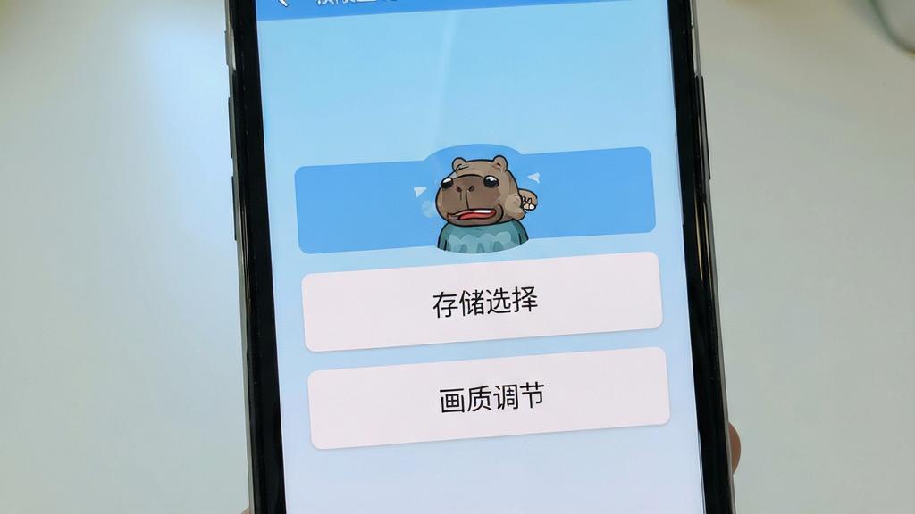 一张手机屏幕显示卡皮巴拉游戏设置界面,界面中有“权限管理”“存储选择”“画质调节”等选项按钮,风格简洁扁平,背景为淡蓝色渐变,画面干净,高清画质,用于说明新手设置操作