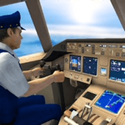 ����ģ����Flight Simulator3.19.2 ��ʵ���м�ʻ