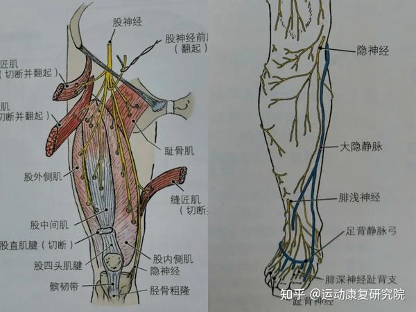 好和集市 安卓版 移动端使用界面