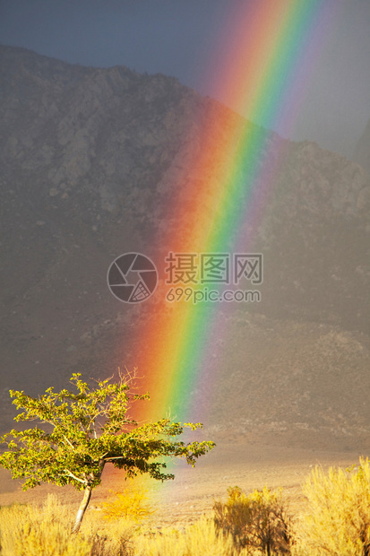 彩虹多图 安卓版 图片浏览界面