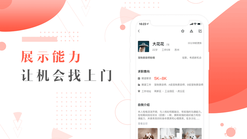 宠才宝 招聘 界面 安卓版