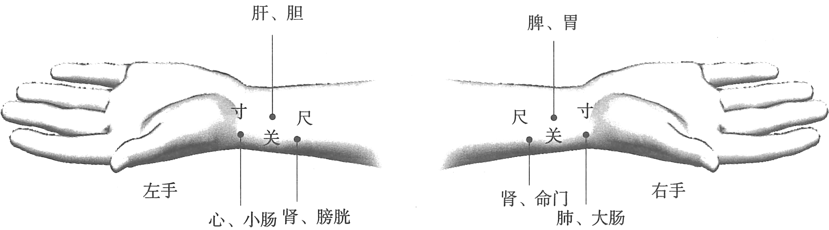 私脉入门核心技巧全解析教程