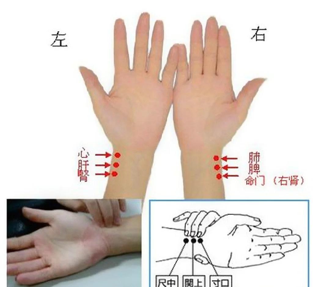 私脉核心技巧实操步骤图解
