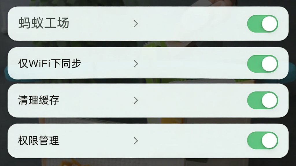画面展示“蚂蚁工场”移动端设置界面,布局为纵向列表,包含“仅WiFi下同步”“清理缓存”“权限管理”等选项,风格为浅色圆角卡片,细节有开关按钮与箭头图标,画质清晰,干净,无多余元素