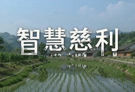 �ǻ۴������¶�̬��������ָ��