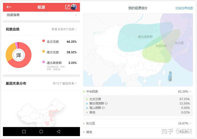 微基因安卓版 祖源报告界面截图