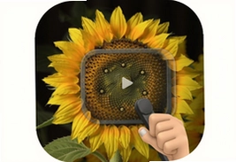 ���տ����ƶ�Զ������app�ٷ�����