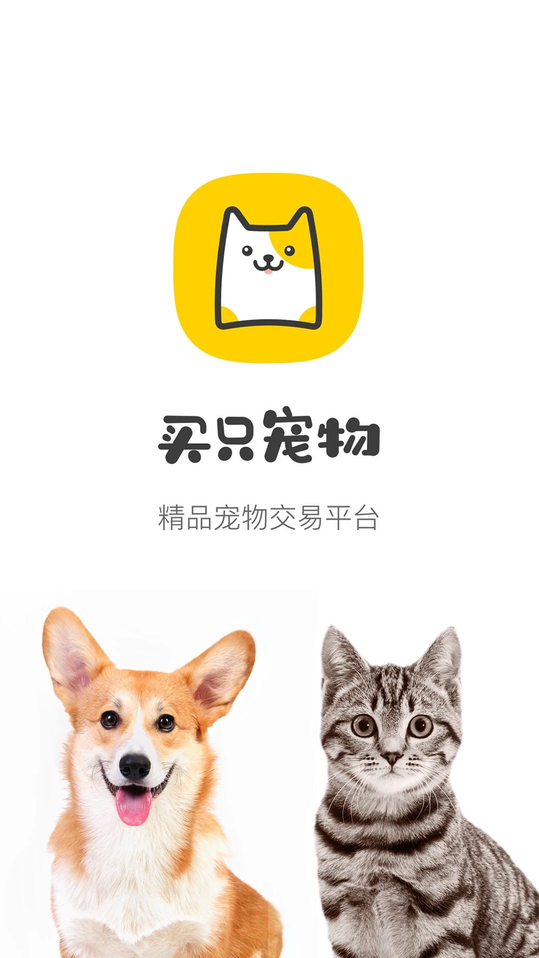买只宠物5.3.6 宠物交易平台