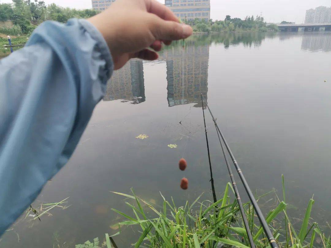 ���㱦Ұ����Ưץ�����㼼��ͼ��