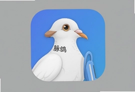 脉鸽办公软件app下载安装最新版