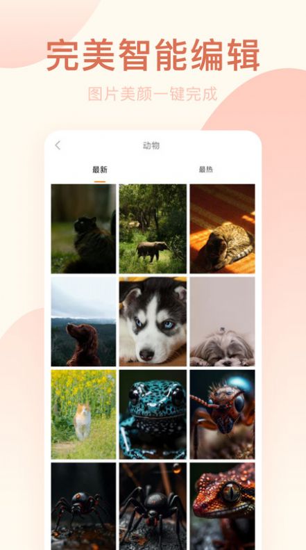 美颜相机专业版app免费版下载 美颜相机专业版app免费版下载