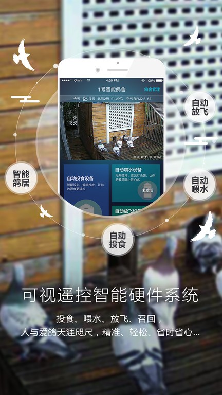 鸽子对讲 安卓版 使用界面截图
