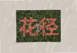 花径漫步指南小众赏花路线推荐