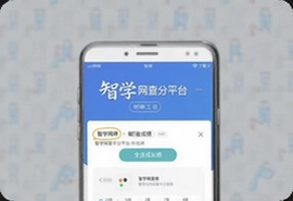 智学网查分平台下载看成绩入口
