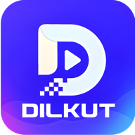 DILKUT1.5.3 ����ֱ��Ӧ��
