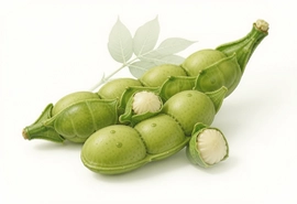 ë��AI��ô�ò��ܿ������ֲ���������Ч��