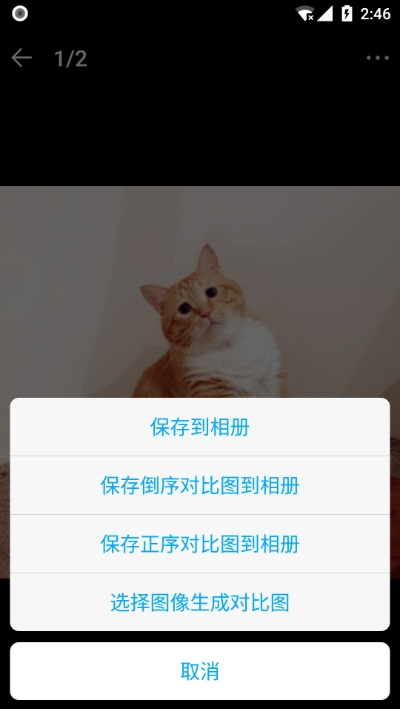 猫咪成长记app红包版区块链下载安装全流程截图,包含下载页面和安装界面