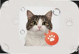 猫咪成长记app红包版区块链下载安装指南