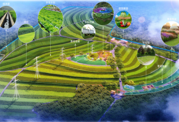 资源振农新模式助力乡村产业旺起来的实拍场景