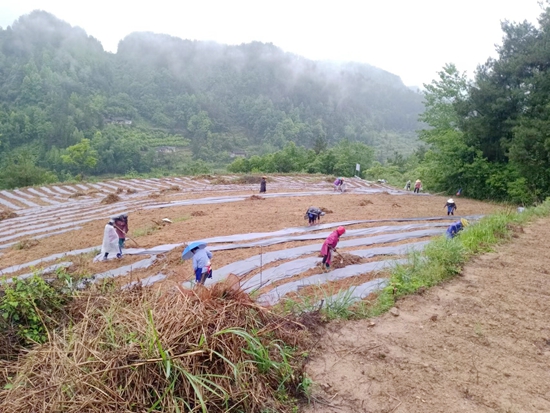 资源振农盘活闲置土地和手艺人增收的现场图