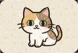 三喵记猫咪日常趣事分享