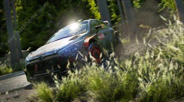 WRC 7������³����������Ϸ���İ�����