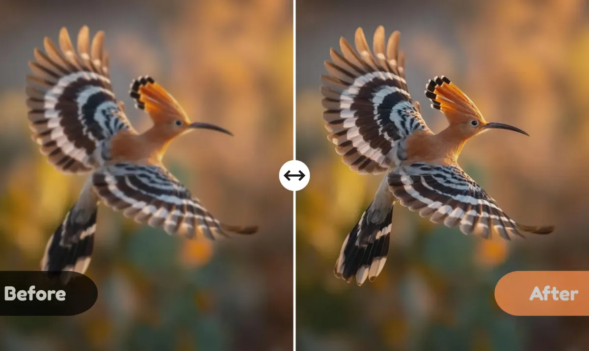AI Photo Enhancer��AI��Ƭ��ǿ����app��׿������ �޸�ǰ��Ա�Ч��ͼ