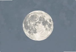 月圆之夜狼人杀攻略新手必看