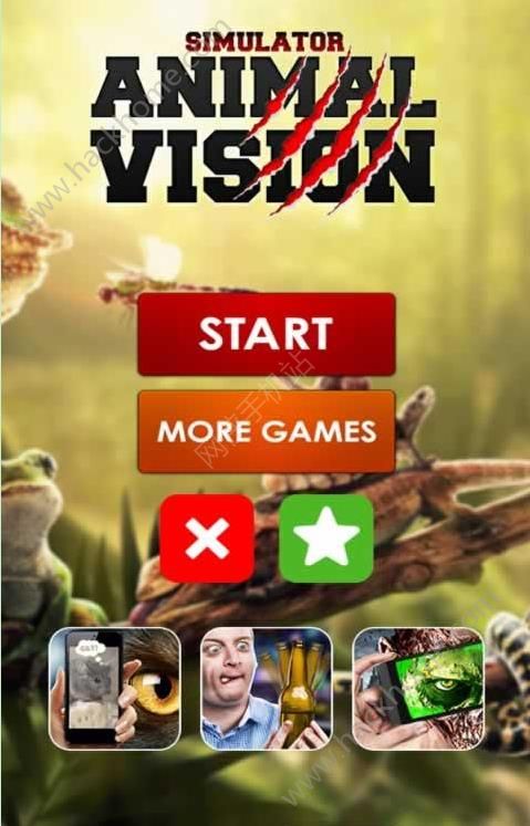 Vision animal��Ϸ��׿���°�
