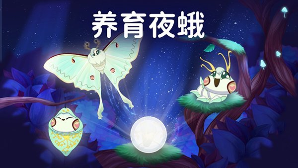 彩翼之星夜官方版下载安装(Starlight安装器)v3.1.5 最新版
