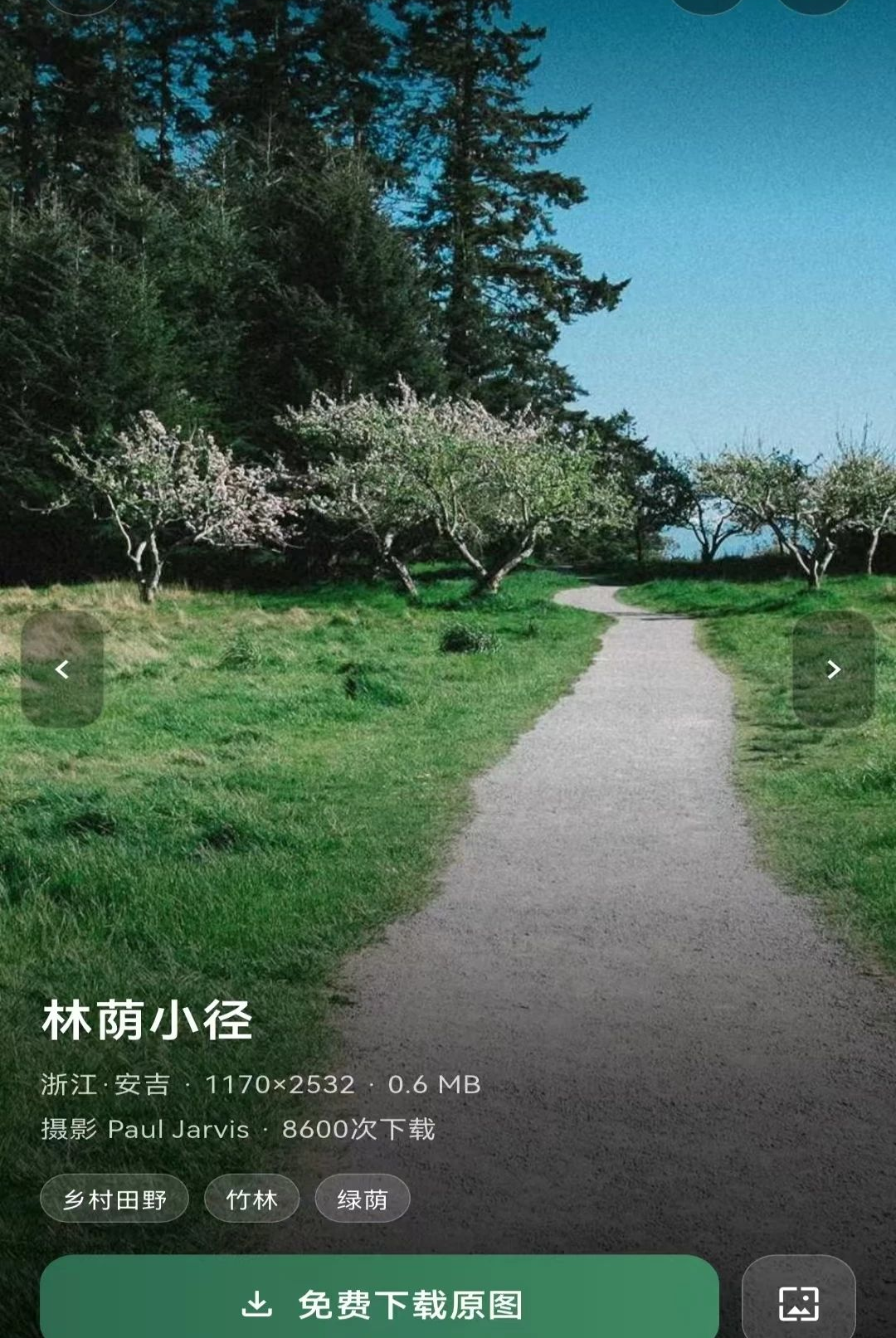 乡选联盟1.3.0 乡村好物选购