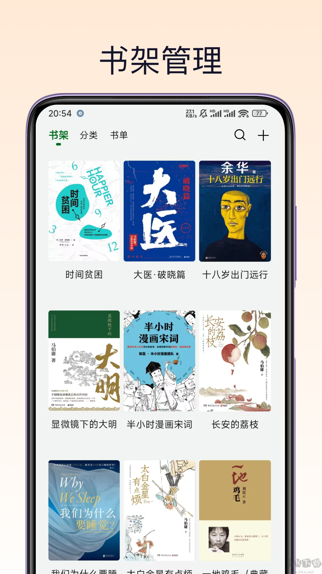 熊猫书简剧情伏笔与深度解读分析图