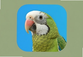С�п����ٷ�app��׿�����ذ�װ