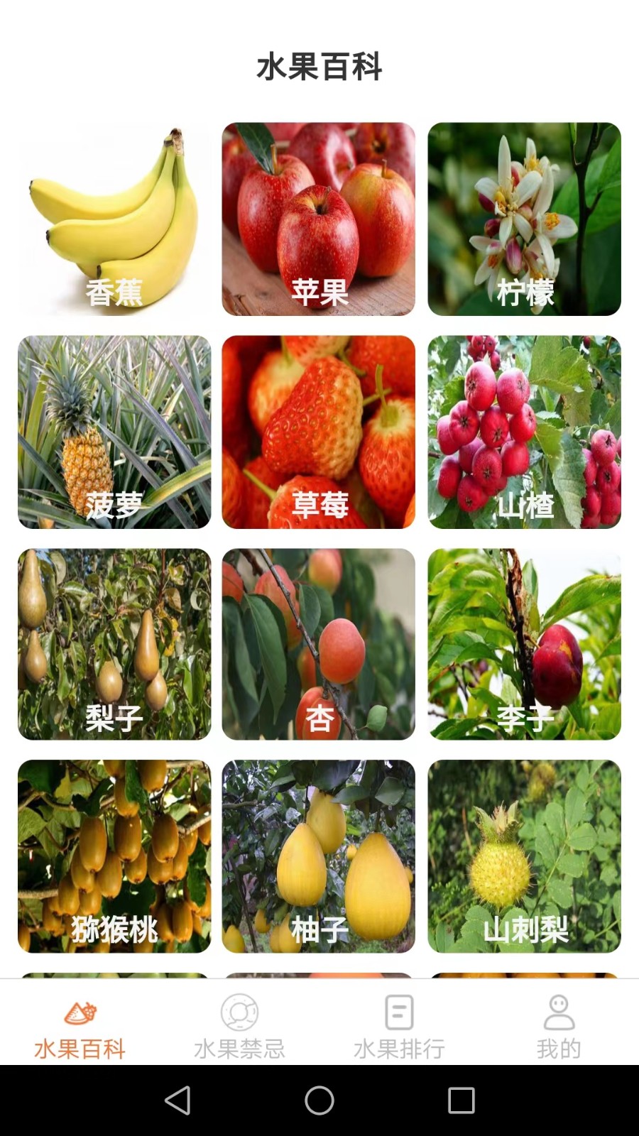优小贝果园 安卓版 果园界面