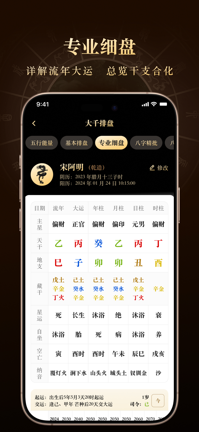 借问八字排盘 安卓版 排盘界面