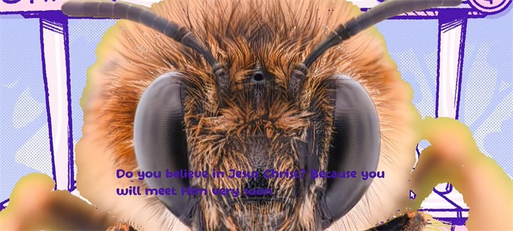 ѪǮ��������׿�����ذ�װv1.0 ���°�