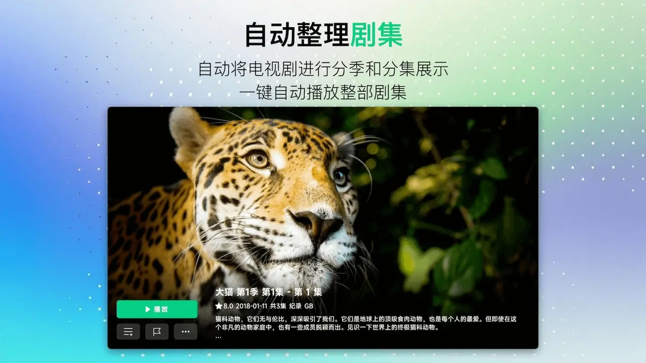 VidHub3.0.2 影音播放